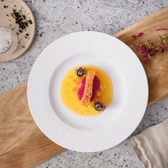 & Manufacture Rock Blanc Dinner Plate 10.5 In Premium Porcelain