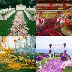 Versatile 1000 Pcs Black Faux Silk Rose Petals for Indoor & Outdoor Decoration