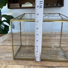 Brass And Glass Display Box