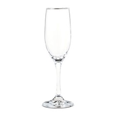 Champagne Flutes Set Elegant Toasting Glasses Perfect Weddings Celebrations 2 PC