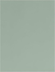 24 sheets Sage Green Cardstock Paper 8.5 x 11 x11 Inches,