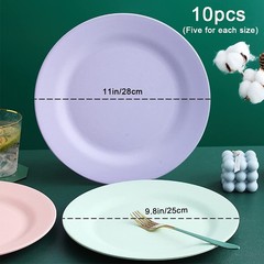 NA 10Inch 11Inch Dinner Plates Set Of 10 Reusable Wheat Straw Dessert Dishes