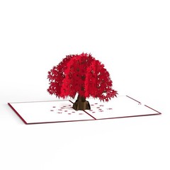 Lovepop Everyday Pop-Up Card for Her and Him- 3D Thinking of You Greeting Car…