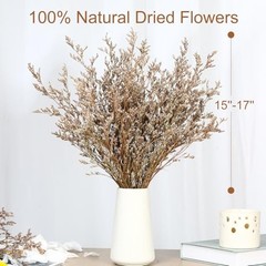 Dried Flowers Bouquet, Dry Caspia Flower Bundle, Floral Lavender, Babys Natural