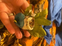 corsages boutonnieres I personalize and hand make them myself for any occasions 