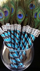 12 Peacock Feather Pen PartyFAVOR for Weddings,Sweet16,Bridal S,Quinceañera,Boda