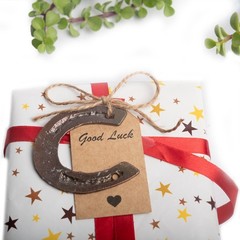 10/20/40 pcs Lucky Horseshoe Mini Decor Wedding Favors for Guests Vintage Metal