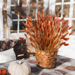 120pcs Fall Burnt Orange Bunny Tails Dried Flowers,17″