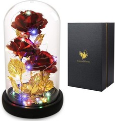 Valentines Day Gifts for Her,Valentines Decor Beauty and The Beast Rose Flowers