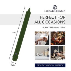 Colonial Candle Unscented Taper Candles, 12 in, Evergreen, Pack of 12