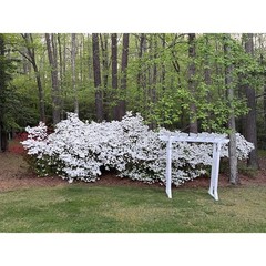 Wooden Wedding Arch Backdrop White Ceremony Arbor Handmade Large 8ft