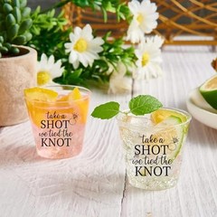 100 PCS Wedding Shot Pack of 100 Plastic – Take a Shot We Tied the Knot