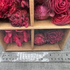 Sola Wood Flowers Boxed Set Red Craft Supply Wedding DIY Decor Fillers