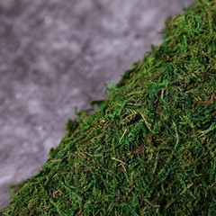 18″ x 16″ Green Natural Preserved Moss Sheet Party Wedding Crafts Decorations