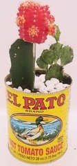 6 Large Empty El Pato Cans for Crafts, Centerpieces Weddings Quinceaneras WOW!!