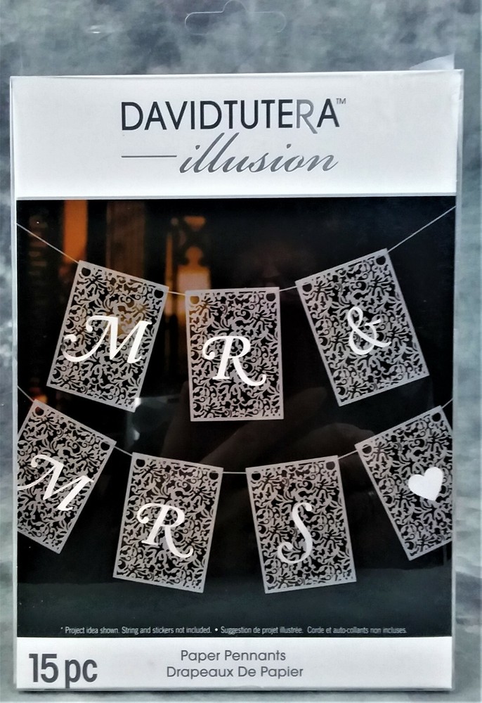 DAVID TUTERSA ILLUSION 15 PC PAPER PENNANTS #DTIL1134 NEW SEALED PACKAGE DARICE