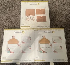 Three Invitation Kit 30 Sets White Cut Floral Brown Beautiful Celebrate it NEW