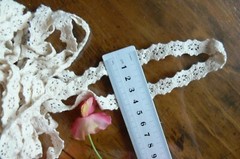 Cluny Cotton Insert Lace CHAMPAGNE CREAM 12mmWide 5 Metre Length – ft259CLUNY