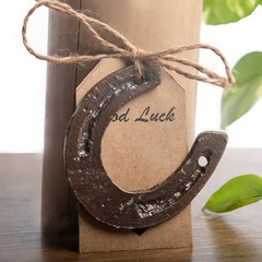 10/20/40 pcs Lucky Horseshoe Mini Decor Wedding Favors for Guests Vintage Metal