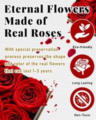 Changshunqi Forever Flowers, Preserved Roses in a Box, Eternal Rose Red