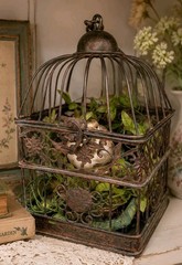 Vintage Decorative Metal Bird Cage French Country Cottage Decor w/Nest and Chick