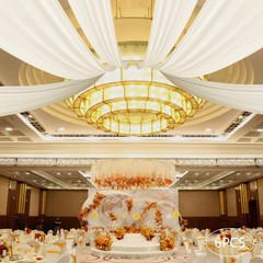 5x20ft Fabric Ceiling Drapes With 6 Panels Rod Pocket For Event Decor