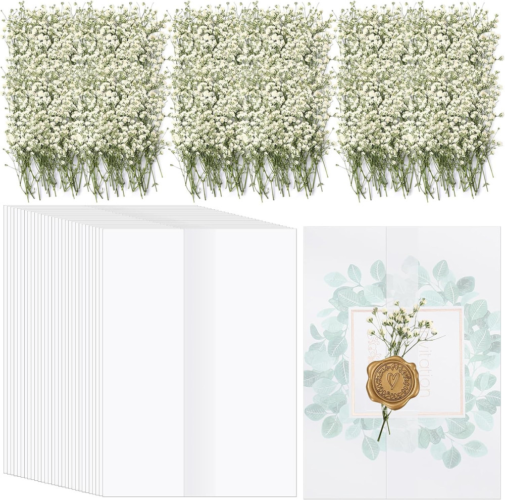 100 Pcs Wedding Invitations Wraps Set Include Pre Folded Vellum Jackets for 5 X