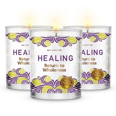 Magnificent 101 Long-Lasting Healing – 3.5 Oz Each 42-Hr Burn Soy