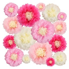 Aunifun 16 Pieces Paper Flower Tissue Chrysanth Variety Pack, Type 1