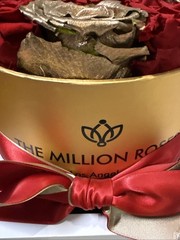 The Million Roses Los Angeles Gold Red Flowers