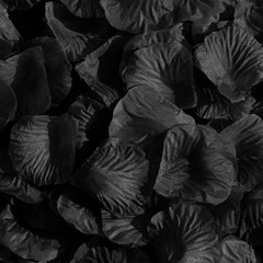 SITUMEIZI 3000PCS Black Rose Petals for Romantic Night for Her Set Flowers Weddi