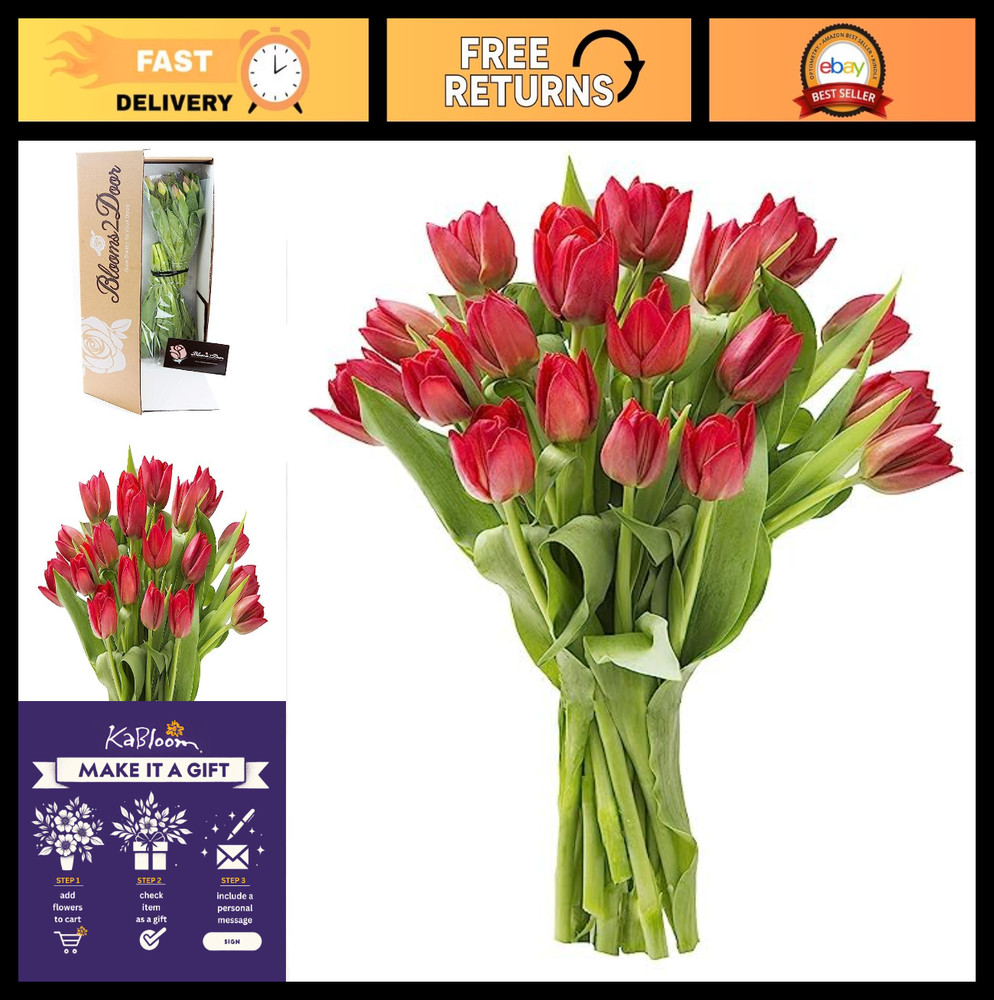 20 Red Tulip Bouquet – Fresh Flowers for Valentine’s Day, Mother’s Day Gift
