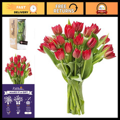 20 Red Tulip Bouquet – Fresh Flowers for Valentine’s Day, Mother’s Day Gift