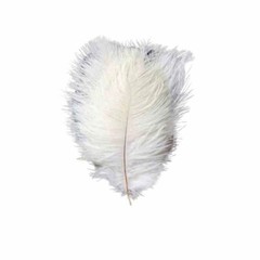 12 pcs 13-15″ long White Genuine Ostrich FEATHERS Wedding Party Centerpieces
