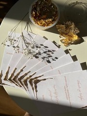 wedding invitation cards (25 piece)