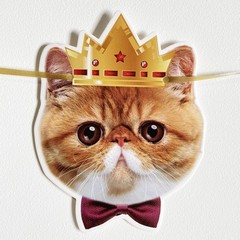 Happy Birthday Cat Banner Garland Funny Decor Cat Face Bday Party Bunting Dec…