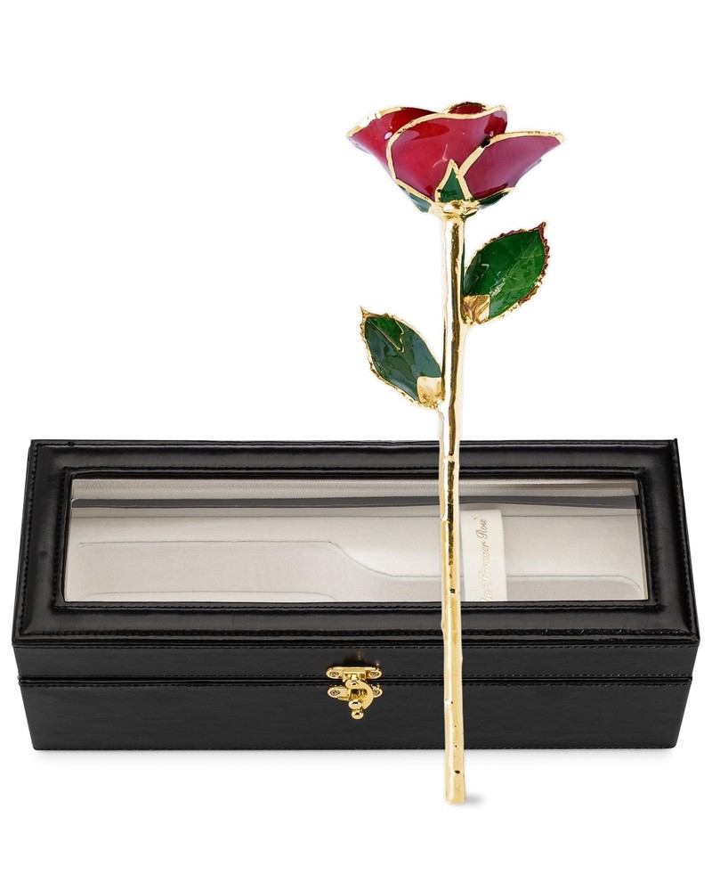Forever Rose Gold Trimmed Red Open (With Leather Case), Case