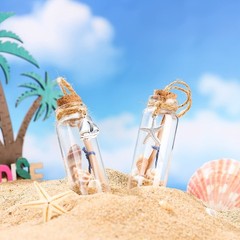 Qunclay 6 Pcs Coastal Beach Ornaments Nautical Glass Message Bottle Clear