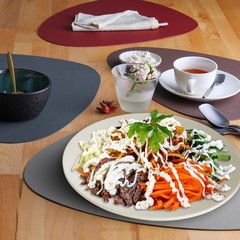 Snomel 11 Inch Dinner Plate Set Extra Large Pasta Plates Unbreakable Dishes