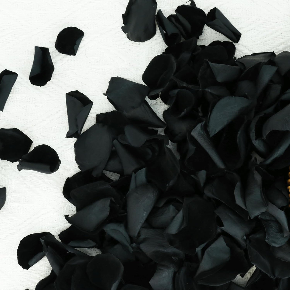 Koceko 200Pcs Dried Real Black Rose Petals, Preserved Flower Petals 1.75Oz for G