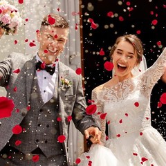 5000 × Red Artificial Fake Rose Petals Wedding Romantic Event Party Decor USA