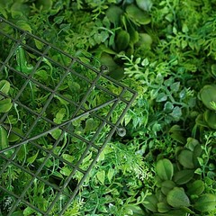 22 sq ft Green WALL PANELS Boxwood Fern UV Protected Backdrop Wedding Party SALE