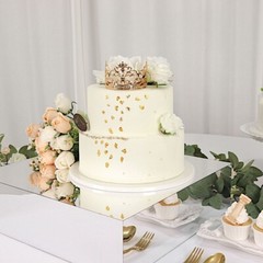 18″ x 18″ SILVER Acrylic Display Box CAKE STAND Pedestal Riser Party