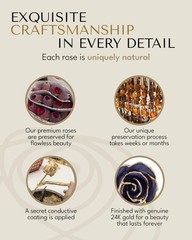 Forever Rose Hand-Dipped in 24K Gold, Tanzanite-Inspired December Birthstone …