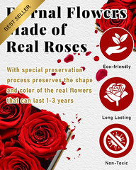 Changshunqi Forever Flowers, Preserved Roses in a Box, Eternal Rose Red