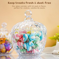 Candy Jar Glass Container with Lid, 22 oz Large Decorative Storage for Snacks