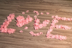 1500PCS Pink Rose Petals Silk Rose Petals for Romantic Night for Her Set Wedding