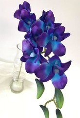 3 x LATEX TOUCH SINGAPORE BLUE PURPLE ORCHID DENDROBIUM ORCHIDS FLOWER FLOWERS