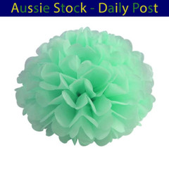 Pom Poms Tissue Paper Pompoms Wedding Baby Shower Birthday Party 6″-10″ 5pcs
