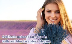 2 Bundles 350 Stems Dried Blue Lavender Flowers, 17″ Dried Lavender